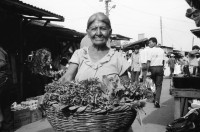 Image of sheet 19930680 photo 30: Diese Frau verkauft am 'Mercado Oriental'traditionelle Heilkräuter. Hier zeigt sie uns die Weinraute. Managua Nicaragua 1993 traditionelle Heilmedizin health medicine popular Medicina 

Zurück von Brot für die Welt