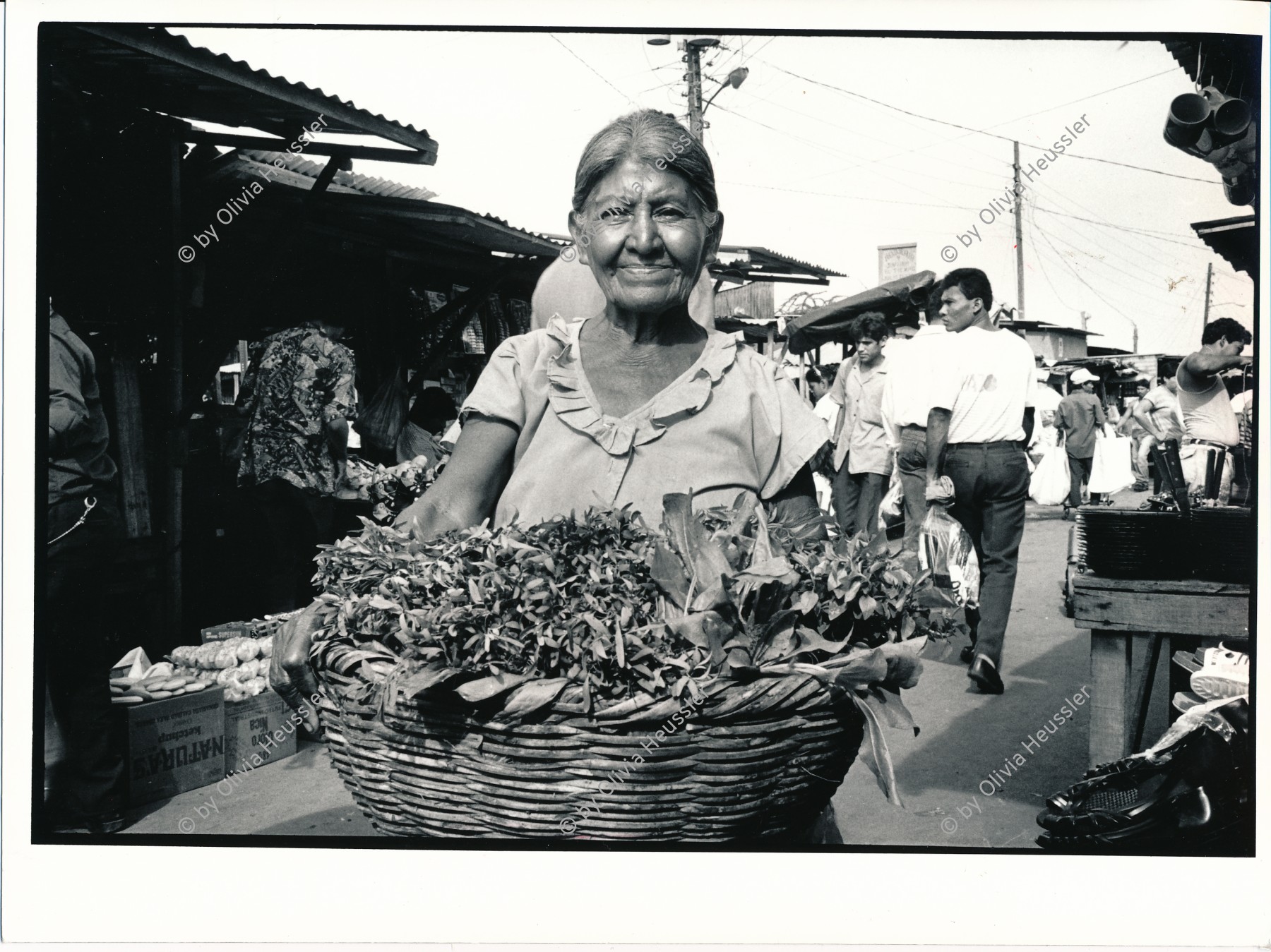 Image of sheet 19930680 photo 30: Diese Frau verkauft am 'Mercado Oriental'traditionelle Heilkräuter. Hier zeigt sie uns die Weinraute. Managua Nicaragua 1993 traditionelle Heilmedizin health medicine popular Medicina 

Zurück von Brot für die Welt