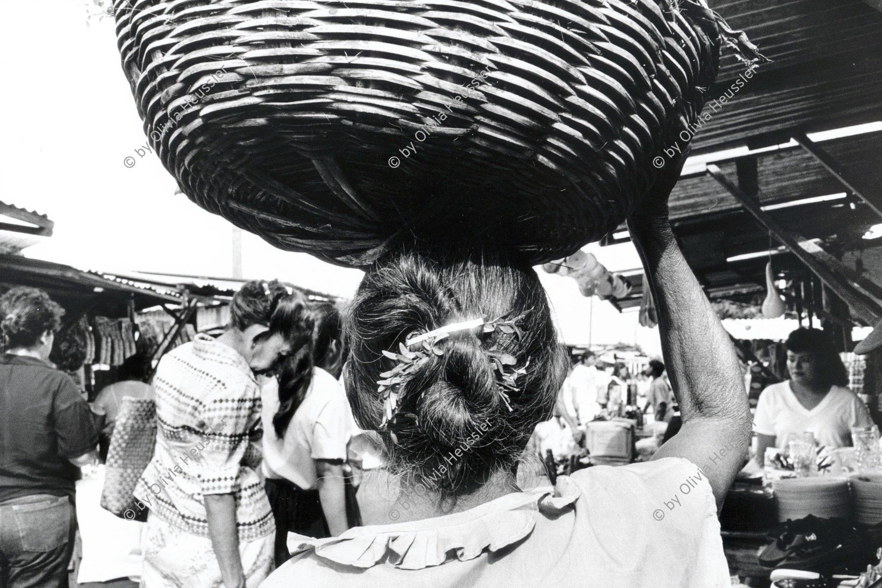 Image of sheet 19930680 photo 32: Diese Frau verkauft am 'Mercado Oriental' traditionelle Heilkräuter - die Weinraute. in einem Korb auf dem Kopf Managua Nicaragua 1993 √

traditional health care medicine natural ISNAYA Naturheilmedizin healing healer sobador plants plantas popular Ruta graveolens rue market markt verkäuferin verkauf