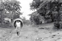 Image of sheet 19930690 photo 36: Eine junge Marktfrau auf ihrem Heimweg. Jinotepe Nicaragua 1993 √
A young woman on her way home from the market