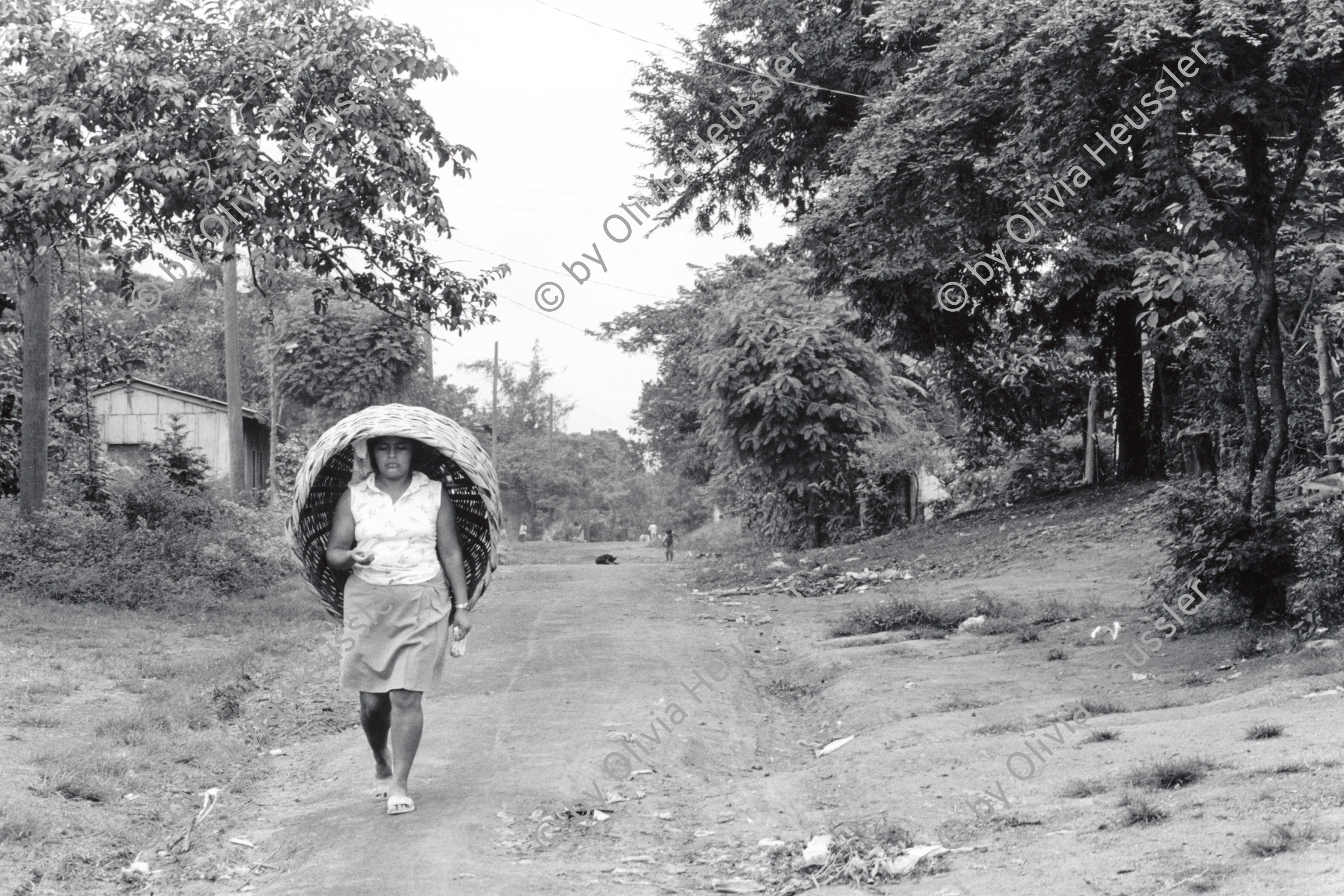 Image of sheet 19930690 photo 36: Eine junge Marktfrau auf ihrem Heimweg. Jinotepe Nicaragua 1993 √
A young woman on her way home from the market