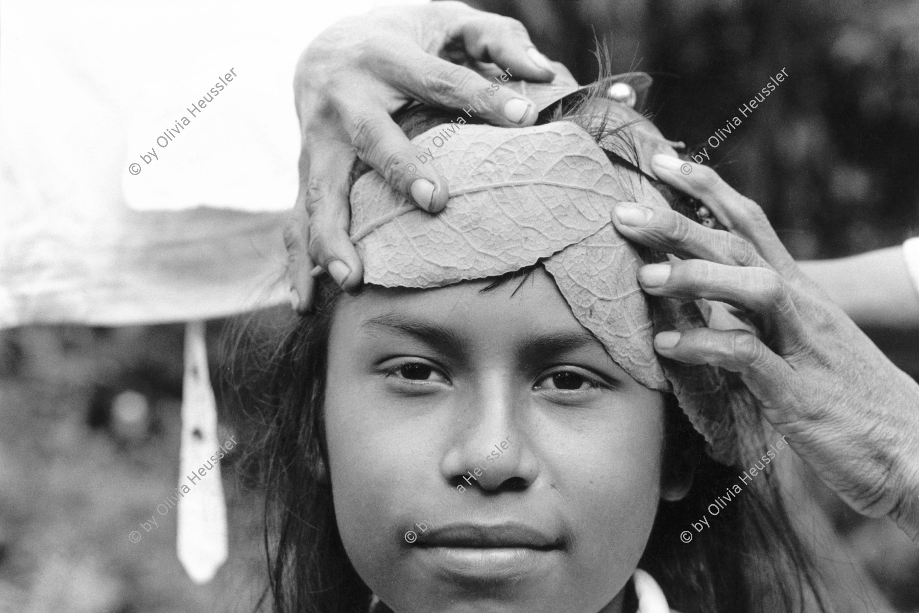 Image of sheet 19930710 photo 18: Ein Mädchen wird mit Blätter gegen Kopfschmerzen behandelt. in San José de Masatepe. Nicaragua 1993 √
traditional natural health medicine