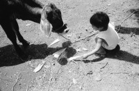 Image of sheet 19930720 photo 18: Im Hafen von San Jorge. Bei Don Angel Tijerino in Moyogalpa. Heiler und Huesero
(behandelt Knochenbrüche) Sobador. mit seinem Papagei. er fertigt eine Lösung aus Mango Rinde an, die er für Knochenbrüche benützt. Angel mit Mädchen. Arm. Kind und Kalb. Don Andrés Lopez, Heiler in Esquipulas. mit Tinktur. Portrait. 
 traditonal health car medical natural plants healer healing Nicaragua 1993