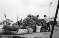 Image of sheet 19930720 photo 4: Im Hafen von San Jorge. Bei Don Angel Tijerino in
