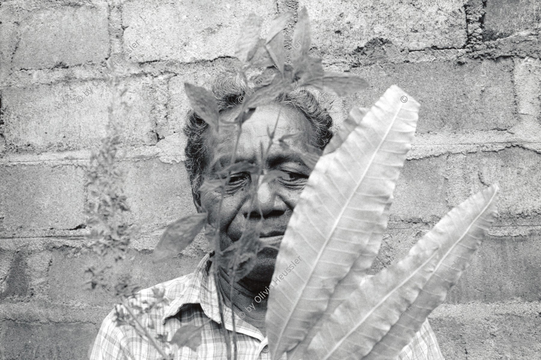 Image of sheet 19930730 photo 10: © 1993, OLIVIA HEUSSLER/ www.clic.li
Don Andrée Lopez ist Heiler und arbeitet mit Pflanzen aus seinem Garten. Ometepe, Nicaragua 1993 √

traditonal health car medical natural medicine plants healer healing 
Don Andrés López con sus plantas medicinales.
Esquipulas, Isla Ometepe, Dpto. de Rivas, 1993
Don Andrés López with his medicinal plants. Esquipulas, Ometepe Island, Dep. Rivas, 1993