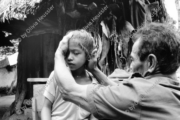 Image of sheet 19930730 photo 29: Der Heiler Don Angel Tijerino behandelt ein Mädchen mit Pflanzen aus seinem Garten, Ometepe

Don Ángel Tijerino, curandero y especialista en roturas de huesos,
con una paciente. Moyogalpa, Isla Ometepe, Dpto. de Rivas, 1993
Don Ángel Tijerino, herbal healer and specialist for broken bones, treating a patient. Moyogalpa, Ometepe Island, Dep. Rivas, 1993



Out of: Der Traum von Solentiname / The dream of Solentiname / El sueño de Solentiname p.157