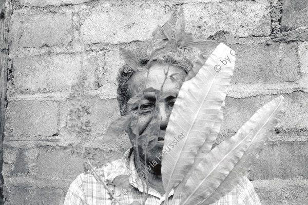 Image of sheet 19930730 photo 9: Don Andrée Lopez ist Heiler und arbeitet mit Pflanzen aus seinem Garten. Ometepe, Nicaragua 1993 √

 traditonal health car medical natural plants healer healing 

Out of: Der Traum von Solentiname / The dream of Solentiname / El sueño de Solentiname p.156

Don Andrés López con sus plantas medicinales.
Esquipulas, Isla Ometepe, Dpto. de Rivas, 1993