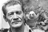 Image of sheet 19930740 photo 14: Don Angel ist Heiler und behandelt seine PatientInnen mit Pflanzen aus seinem Garten. Ometepe Nicaragua 1993 √ healer curandero Heilmedizin Vogel Papagei bird lora