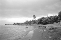 Image of sheet 19930750 photo 12: Nicaragua See. Isla Ometepe Nicaragua 1993 
Ometepe Nicaragua Zentralamerika centralamerica Lago de Nicaragua lake bird chicken sweetwater beach sand cost island Insel water 1993
© 1993, Olivia Heussler √