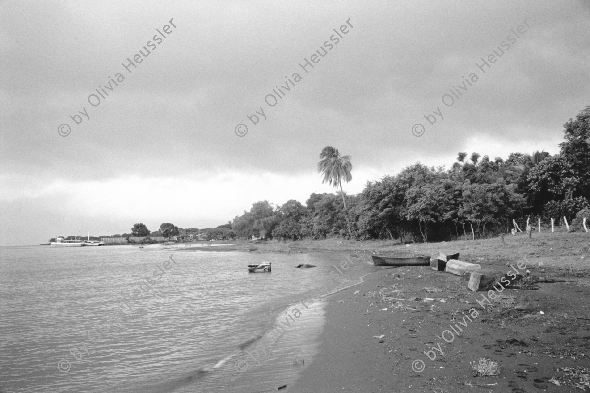 Image of sheet 19930750 photo 12: Nicaragua See. Isla Ometepe Nicaragua 1993 
Ometepe Nicaragua Zentralamerika centralamerica Lago de Nicaragua lake bird chicken sweetwater beach sand cost island Insel water 1993
© 1993, Olivia Heussler √