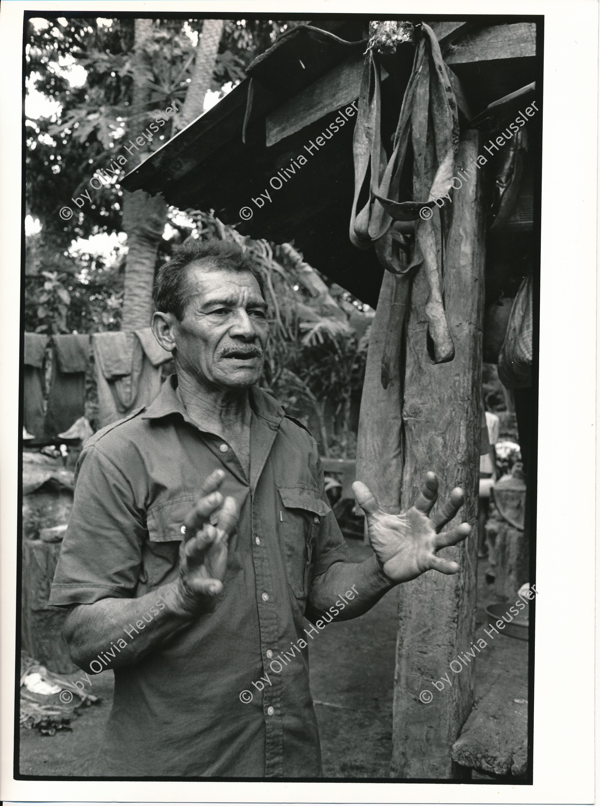 Image of sheet 19930750 photo 5: Der Heiler Don Angel erklärt mir eines seiner Rezepte. Ometepe Nicaragua  1993
Heilmedizin medicina popular traditionelle health medicine curandero

Zurück von Brot für die Welt