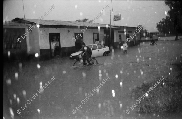 Image of sheet 19930790 photo 19: Tempate Baum. Verkauf von Coca und Tongefässen. Laden für Schuluniformen. Foto Salgado. Schulkinder waschen im Fluss ihre Schulbänke. Das Barrio wird von Angehörigen des Gesundheitsministeriums gegen Dengue und Malaria mit Insektiziden eingesprayt. Dona Maria. Bayardo Gamez hält in der Uni Esteli einen Vortrag über den indianischen Ursprungs der Nicaraguanerinnen. Ueberschwemmung in Esteli vor dem Haus.La Barranca Schulungszentrum. Altar.  Nicaragua 1993