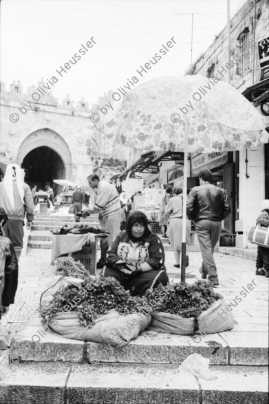 Image of sheet 19931210 photo 13: Mea Shearim Lutfi's Peace Land Galery in Ost- Jerusalem Altstadt. Regen in Altstadt. Am Markt Israeli Soldaten beobachten vom Damaskus Tor aus. Brotverkäufer. Rachel Freudenthal Portrait vor Spray Graffitti und beim einkaufen auf dem Shouk in Jerusalem mit Tochter Noa. Araber telefoniert und orthodoxe Juden nach dem Gebet am Shabes. Araber untersucht neue Unterhosen. Israel Palästina 1993