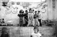 Image of sheet 19931230 photo 0: Strassenszene mit Kinder vor Graffiti fuer einen Frieden mit Israel, Gaza City 1993.
Gazastreifen. Gaza strip Palestine Palästina 11.93 Graffitti Kinder Frieden
Strassenszene mit Kindern in Gaza City, die vor einem Graffiti mit Friedenstauben posieren, aufgenommen im November 1993, kurz nach dem Zustandekommen des Oslo-Abkommens zwischen Israel und den Palaestinensern zur Loesung des Nahostkonflikts. Olivia Heussler) Street scene in Gaza City, Palestine, after Oslo accord, November 1993

 © 1993, Olivia Heussler √