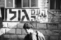 Image of sheet 19931270 photo 21: Bei Yvon Deutsch Bananenstude Transparent The People with the Golan Junge macht Salto im Hintergrund die Stadtmauer von Jerusalem Marktszene Portrait von Parlamentsabgeordnete (Meretz) Naomi Chazan Portrait Frauen Israel 1993
