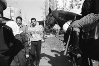 Image of sheet 19931290 photo 20: frtsg. 931280 Interwiev mit Suha Brautpaar im Israel Museum 
Polizei auf Pferden berittene Pferdepolizei in der Salah Eddin Street Frau verkauft Fleischkonserven aus European Comunity . Schaufenster puppe mit kopftuch und Passantin. Muslim . Kürbisverkäuferin Women in Black stehen wieder gegen die Politik ihres Staates am Place de la France. West Jerusalem Yvonne Deutsch Nr. 28 Israel 1993 Palestine