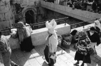 Image of sheet 19931290 photo 25: frtsg. 931280 Interwiev mit Suha Brautpaar im Israel Museum 
Polizei auf Pferden berittene Pferdepolizei in der Salah Eddin Street Frau verkauft Fleischkonserven aus European Comunity . Schaufenster puppe mit kopftuch und Passantin. Muslim . Kürbisverkäuferin Women in Black stehen wieder gegen die Politik ihres Staates am Place de la France. West Jerusalem Yvonne Deutsch Nr. 28 Israel 1993 Palestine