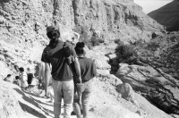 Image of sheet 19931300 photo 1: W