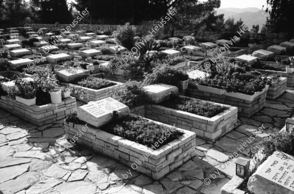 Image of sheet 19931350 photo 16: Keramikerin und Töpferin Magdalena Hevetz. Bäckers Verkäuferin bei Angel's Bakery Bäkerei in Jerusalem. Farbsteinstr. Kassiererin. Soldatenfriedhof Mount Herzl. Yad Vashem. Portrait Ilan Wizgam. Abu Gush palestinensisches Dorf in Israel. Weihnachtsladen in Salah Eddin Str. Ost-Jerusalem Zwei Frauen Muslimische hinter Sonnenstoren im Restaurant. Beim Kunstmaler zu Hause. Israel Palästina
Aus: Jenseits von Jerusalem / Out of Jerusalem 1993