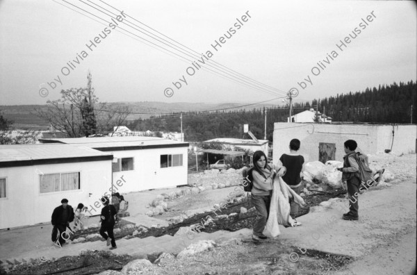 Image of sheet 19931370 photo 30: Kinder im Kindergarten Neve Shalom. Mit Leiterin  Aishe Najjar, ist 34 ig und hat 3 Mädchen ist schwanger mit viertem. seit 14 Jahren hier kommt aus Nazareth etc.Nr. 16- 21 . Nr. 24 und 25 Sror Wafaa 32 j. eine Tochter kommt aus Eilabuune village zwischen Tiberias und Nazareth. Leiterin. Im Ruheraum mit Jakov russischer Student (von Prof. Nir) aus Moldavien macht Semesterarbeit über mich und begleitet mich. Kids fahren in Kleinbussen zurück nach Abu Gosh. Frau Nir vor ihrem Gemälde. Selbstportrait. Jerusalem Israel 1993