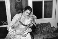 Image of sheet 19931380 photo 26: © 1993, OLIVIA HEUSSLER/ www.clic.li
Neta, 23, Studentin, und Locca, 7 Monate, Hund. Moshav Bet Shearim. Afula Israel 1993 √ 12.93
woman and dog
