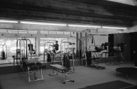 Image of sheet 19931400 photo 1: Fitnessclub. Frau. Altersheim. beim Billard spielen. Portrait Michal Amir, 23 ig. Kibbutz Sarid, 30099 06 548120 Israel arbeitet in Fabrik Flex. Portrait mit Fahrrad Velo und während ihrer Arbeit an einer Presse  Michal raucht 1993 Israel Palestine Frau Women work industry bicycle worker work Arbeit young 

A kibbutz (Hebrew: קִבּוּץ / קיבוץ, lit. "gathering, clustering"; plural kibbutzim) is a collective community in Israel that was traditionally based on agriculture. Today, farming has been partly supplanted by other economic branches, including industrial plants and high-tech enterprises.[1] Kibbutzim began as utopian communities, a combination of socialism and Zionism. In recent decades, some kibbutzim have been privatized and changes have been made in the communal lifestyle. A member of a kibbutz is called a kibbutznik (Hebrew: קִבּוּצְנִיק).

Kibbutz Sarid (Hebrew: שָׂרִיד) (lit. "Remnant") is a kibbutz in northern Israel. Located near Migdal HaEmek, it falls under the jurisdiction of Jezreel Valley Regional Council. In 2006 it had a population of 590