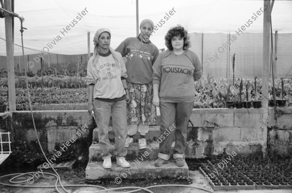 Image of sheet 19931410 photo 30: Frau wartet auf Bushaltestelle. Bilha Golan kriegt Besuch von Kindern aus dem Moshav die Geld sammeln. Daphna zieht sich ihre Uniform über. Vor dem Spiegel. Gallina 31, aus Leningrad arbeitet bei Orly, 38 4 Kids eins unterwegs. Nr. 32 und 33. Nr. 35 Nahan 28 Beduinin.und Nr. 28 Ngud, 20 ig. Orly exportiert Zierpflanzen. Israel 1993
Moshav (Hebrew: מוֹשָׁב‎, plural מוֹשָׁבִים moshavim, lit. settlement, village) is a type of Israeli town or settlement, in particular a type of cooperative agricultural community of individual farms pioneered by the Labour Zionists during the second wave of aliyah (lit. "ascent [to Eretz Yisrael]": refers to the act of Jewish emigration to Israel). A resident or a member of a moshav can be called a "moshavnik" (מוֹשַׁבְנִיק)