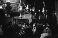 Image of sheet 19931420 photo 24: Ein Olivenbaum im Moshav Bet Shearim. 12.93 harvest olive tree 1993 Israel occupied territory farmer bauern √ olives  farm Oliven olives Palestine olive 
© 1993, Olivia Heussler