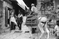 Image of sheet 19931430 photo 14: Alis Guggenheim Bild Hoolegrasch hängt im Israel Museum. In Judaica. Gift of Sigmund Wiener und Eva Wiener Karo Luzern. Irene und David Sala Wing for Israel Communities. Altstadt Kinder spielen mit Glaskugeln. Frauen. Junge rennt im Hintergrund Israel fahne. Klagemauer Männer und Frauen. am 24.12. Mutter mit Kind im Rucksack. Zettelchen stecken in der Mauer. Jerusalem Israel 1993

Während des Gebets an der Klagemauer. Jerusalem 24.12. 1993 √
Altstadt Old town

The Western Wall, Wailing Wall or Kotel (Hebrew: About this sound הַכֹּתֶל הַמַּעֲרָבִי (help·info), translit.: HaKotel HaMa'aravi; Ashkenazic pronunciation: Kosel; Arabic: حائط البراق‎, translit.: Ḥā'iṭ Al-Burāq, translat.: The Buraq Wall) is located in the Old City of Jerusalem at the foot of the western side of the Temple Moun