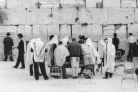 Image of sheet 19931430 photo 34: jewish jews religion pray man religious religion