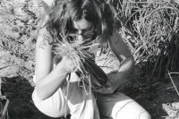 Image of sheet 19931460 photo 26: Eigentlich wollte die junge Frau bei der Zwiebelernte im Kibbutz Samar von mir nicht fotografiert werden. Israel 12. 1993 √ ognion agriculture picking desert

Samar (Hebrew: סָמָר‎‎) is a kibbutz in the Arabah valley in the far south of Israel. Located near Eilat, it falls under the jurisdiction of Hevel Eilot Regional Council.

A kibbutz (Hebrew: קִבּוּץ / קיבוץ, lit. "gathering, clustering"; plural kibbutzim) is a collective community in Israel that was traditionally based on agriculture. Today, farming has been partly supplanted by other economic branches, including industrial plants and high-tech enterprises.[1] Kibbutzim began as utopian communities, a combination of socialism and Zionism. In recent decades, some kibbutzim have been privatized and changes have been made in the communal lifestyle. A member of a kibbutz is called a kibbutznik (Hebrew: קִבּוּצְנִיק).
