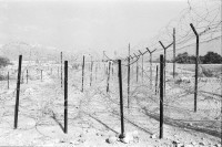 Image of sheet 19931470 photo 20: A kibbutz (Hebrew: קִבּוּץ / קיבוץ, lit. "gathering, clustering"; plural kibbutzim) is a collective community in Israel that was traditionally based on agriculture. Today, farming has been partly supplanted by other economic branches, including industrial plants and high-tech enterprises.[1] Kibbutzim began as utopian communities, a combination of socialism and Zionism. In recent decades, some kibbutzim have been privatized and changes have been made in the communal lifestyle. A member of a kibbutz is called a kibbutznik (Hebrew: קִבּוּצְנִיק).