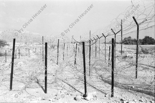 Image of sheet 19931470 photo 20: A kibbutz (Hebrew: קִבּוּץ / קיבוץ, lit. "gathering, clustering"; plural kibbutzim) is a collective community in Israel that was traditionally based on agriculture. Today, farming has been partly supplanted by other economic branches, including industrial plants and high-tech enterprises.[1] Kibbutzim began as utopian communities, a combination of socialism and Zionism. In recent decades, some kibbutzim have been privatized and changes have been made in the communal lifestyle. A member of a kibbutz is called a kibbutznik (Hebrew: קִבּוּצְנִיק).