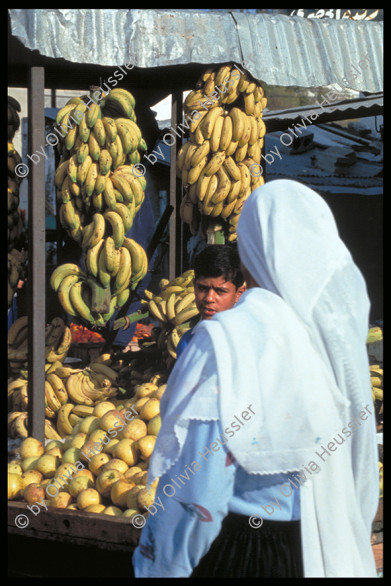 Image of sheet 19933003 photo 519: Gaza Junge work market woman Banana Bananen Fruit Früchte Markt 1992