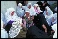 Image of sheet 19933005 photo 17: Totenfeier bei Mutter von Abu Rish
Frauen sitzen um sie herum. 30.11.1993 
Women in sorrow with mother of killed Al Fatah fighter Abu Rish by Israeli army. Abu Rish was killed by a mistake after he desarmed. Gazastrip Palestine 
Mothers Gaza death women young mourns