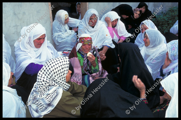 Image of sheet 19933005 photo 17: Totenfeier bei Mutter von Abu Rish
Frauen sitzen um sie herum. 30.11.1993 
Women in sorrow with mother of killed Al Fatah fighter Abu Rish by Israeli army. Abu Rish was killed by a mistake after he desarmed. Gazastrip Palestine 
Mothers Gaza death women young mourns