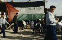 Image of sheet 19933005 photo 3: Gaza City, Palästina 1993.