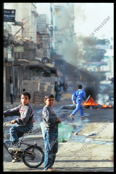 Image of sheet 19933005 photo 53: a two palestinian boys during protest with tear gas and smoke in the street of Khan younis

Khan Yunis (Arabic: خان يونس‎, also spelled Khan Younis or Khan Yunus; translation: Caravanserai [of] Yunis) is a city in the southern Gaza Strip. According to the Palestinian Central Bureau of Statistics, Khan Yunis had a population of 142,637 in 2007 and 202,000 in 2010 and 350,000 in 2012. Although Khan Yunis lies only four kilometers east of the Mediterranean Sea,

© 1992, by OLIVIA HEUSSLER, www.clic.li