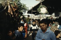 Image of sheet 19933005 photo 6: Palästina 1993.