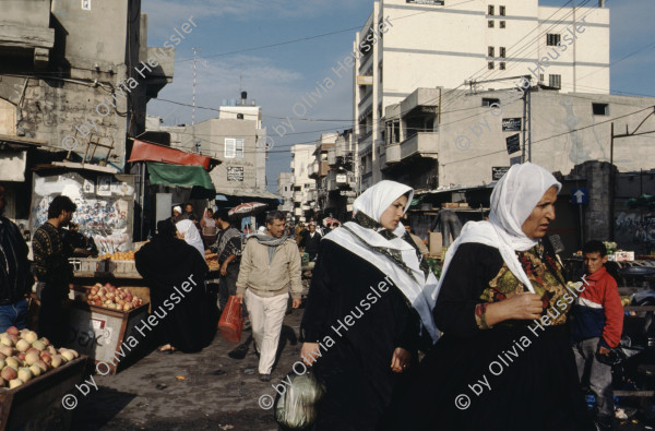 Image of sheet 19933005 photo 9: Gaza City, Palästina 1993.