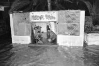 Image of sheet 19940010 photo 20: Am Neujahrstag wird der kleine Badeort Dahab im Sinai von Ueberschwemmungen heimgesucht. Aegypten 1994 ONE TIME NON EXCLUSIVE EDITORIAL RIGHTS ONLY- NO ARCHIVING-NO THIRD PARTY DISTRIBUTION