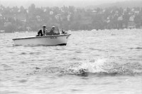 Image of sheet 19940340 photo 29: Polizeiaspirantinnen Polizei und Verkehrspolizisten beamte und Beamtinnen in Badehosen vor der Seeüberquerung Zürichsee Badi Wollishofen. 1600m nach Tiefenbrunnen. Nr. 0 -3 Herr Zurfluh Chef der Ausbildung. Ziel. Nr. 25 Fredi Bachmann Gewinner 32 Minuten. Schwimmer im See Motorboote Polizei. Frau streicht Schwimmer auf Liste mit Fotos. Zürich 1994