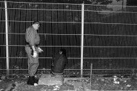 Image of sheet 19940360 photo 23: Polizeikontrolle in der Drogenszene im ehemaligen Zürcher Lettenareal. 24.08.94 √
Drogen Konsum Letten Areal 
Policeman searches a Drugdealer, he finds no papers, no drugs and no money. Zürich Switzerland 1994