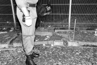 Image of sheet 19940360 photo 26: Während einer Polizeikontrolle im ehemaligen Zürcher Bahnhof Lettenareal. 
Polizeikontrolle in der Drogenszene  24.08.94 √
Drogen Konsum Letten Areal 
Policeman searches a Drugdealer, he finds no papers, no drugs and no money. Zürich Switzerland 1994
