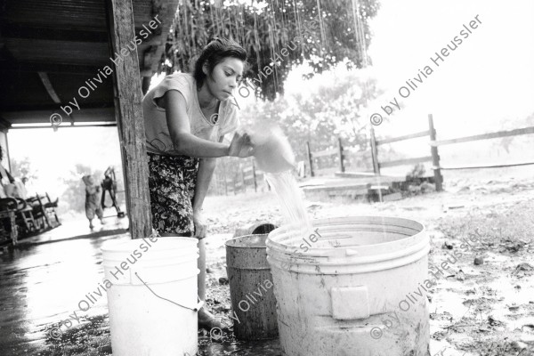 Image of sheet 19940370 photo 28: Felicitas schöpft Wasser weil trotz Regen Wassermangel herrscht. Die junge Frau ist Jahre später an Niereninsuffizienz gestorben. Sie hinterlässt zwei kleine Kinder. Sie hat in der Bananenernte gearbeitet wo Nemagon eingesetzt wurde. Nic. 10.94 √ Water rain collection leck of deza pestizide pesticide
Pantasma Nicaragua centralamerica 1994