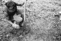 Image of sheet 19940380 photo 17: Polin Sergio