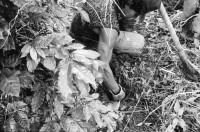 Image of sheet 19940380 photo 20: W
