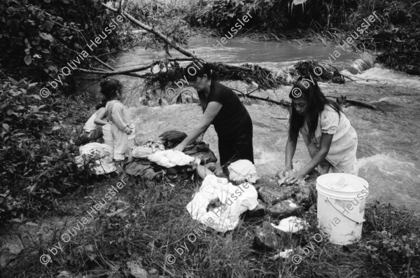 Image of sheet 19940380 photo 3: Wäsche waschen Vicky und Felicitas Meiling und Yaosca. Junge wiegt Kartoffeln. Mural für Veterinär produkte. Jeep durchquert Fluss. Kaffeepflanzen junge Polin beim anpflanzen. Pferde waschen im Bach. Junges Paar beim täglichen Bade im Fluss eingeseift mit Seife. Sie im BH er in Unterhose, Polin und Pferde. Portrait.

Nicaragua 1994