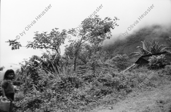 Image of sheet 19940390 photo 20: Finca Las Confluencias Rinderherde Gruppenbild Juanita Tinoco Chema Negro und Felicitas. Pinto Riccardo und Polin. Camioneta Umgebung La Cuesta. Lastwagen mit Personentransport. Camioneta flicken. Gruppenbild mit Polin Valdivia Salinas  und Familie Meiling Yaosca etc. Viktoria Vicky Victoria Esteli Nueva Segovia 
Kartonschachteln mit Copper Antikonzeptionsmittel Pillen Antibabypillen aus den Vereinigten Staaten USA. Nordamerika. Si Mujer in Managua San Judas 16 jähriges Mädchen schwanger. Promotoren Nicaragua 1994