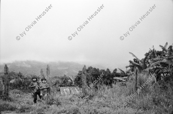 Image of sheet 19940390 photo 22: Finca Las Confluencias Rinderherde Gruppenbild Juanita Tinoco Chema Negro und Felicitas. Pinto Riccardo und Polin. Camioneta Umgebung La Cuesta. Lastwagen mit Personentransport. Camioneta flicken. Gruppenbild mit Polin Valdivia Salinas  und Familie Meiling Yaosca etc. Viktoria Vicky Victoria Esteli Nueva Segovia 
Kartonschachteln mit Copper Antikonzeptionsmittel Pillen Antibabypillen aus den Vereinigten Staaten USA. Nordamerika. Si Mujer in Managua San Judas 16 jähriges Mädchen schwanger. Promotoren Nicaragua 1994